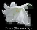 Easter Blessings - Rita