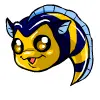 fish pet