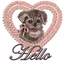 say hello dog