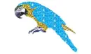 glitter parrot