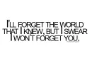 i wont forget you