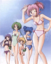 mew team