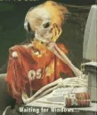 Waiting for windows to load....