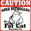 Cat Partol