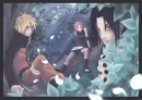 Team 7 Older