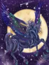 Flying Unicorn at Night