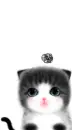 LOVELY KITTY