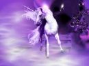 purple unicorn