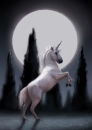 unicorn