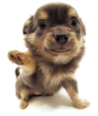 Hug me!