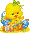cute easter chick daisy