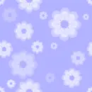 Bluette Flowers