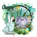 Bunny Hop