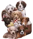 Cagnolino