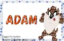 Taz - Adam