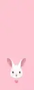 LOVELY BUNNY