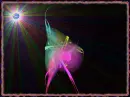 SPACE DANCE