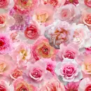 seamless pink roses love spring background