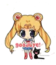 Sailor Moon > Goodbye!