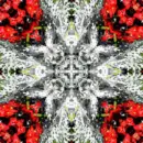 Flower Cross