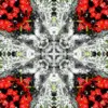 Flower Cross