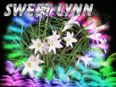 FIRST NAME SWEET LYNN