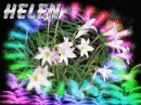 FIRST NAME HELEN