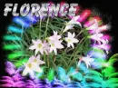 FIRST NAME FLORENCE