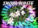 FIRST NAME SNOW WHITE