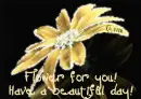 Flower for you!