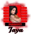 Jaya
