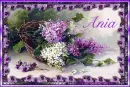 Spring Lilacs - Ania 