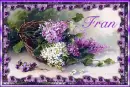 Spring Lilacs - Fran