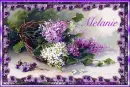 Spring Lilacs - Melanie