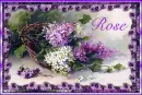 Spring Lilacs - Rose