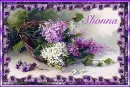 Spring Lilacs - Shonna