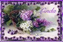 Spring Lilacs - Linda