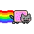 Pop Tart Cat