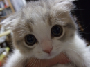 cute eyes or what?!