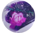HAPPY MOTHER'S DAY