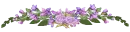 purple flowers