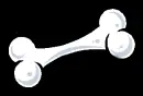 Bone