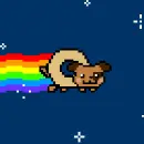 Nyan Puppy!