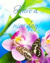 Have a nice day!