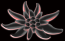 Edelweiss Black Red Swiss Flower 