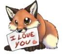 cute fox