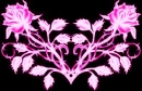 Pink Roses 1