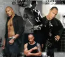 the rock
