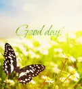 Good day!