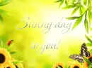 Sunny day!
